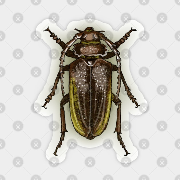 Bugs-12 Longhorn Beetle Sticker by Komigato